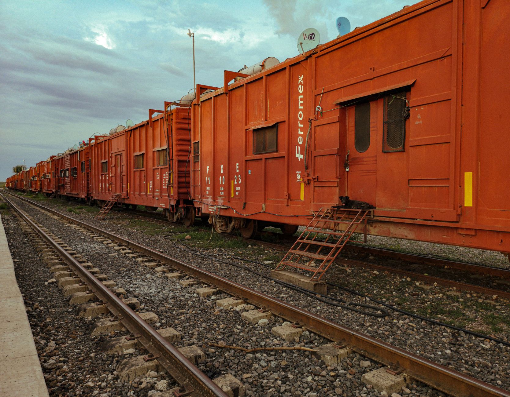 Old Dominion Freight Line stock